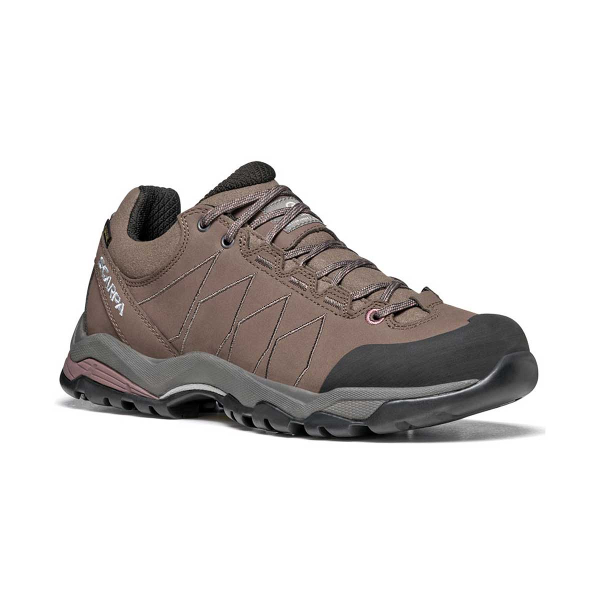 Moraine Plus GTX Womens